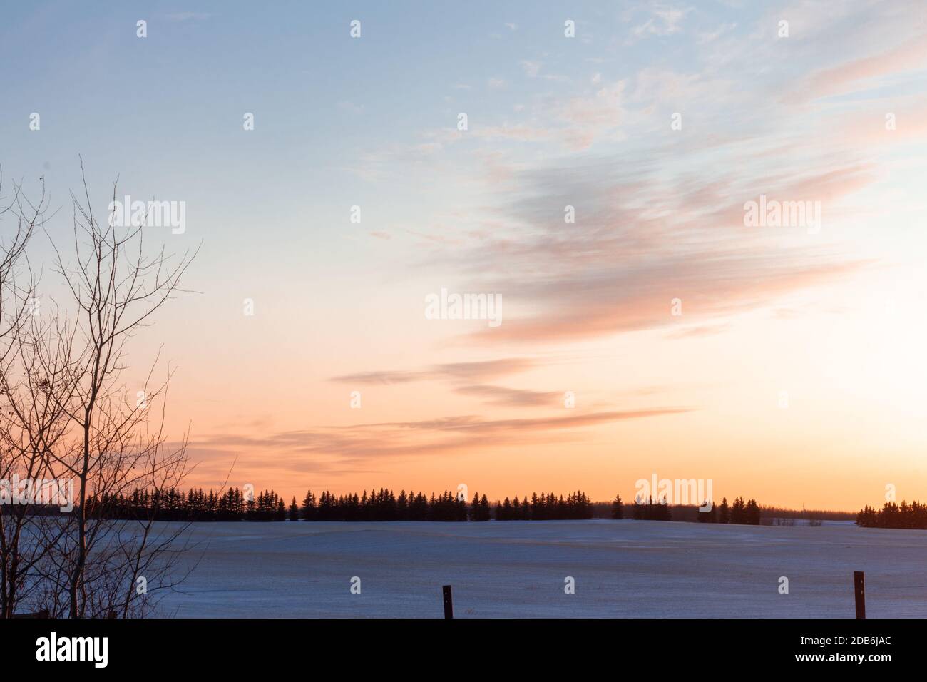 Campo di prateria canadese invernale con tramonto sull'orizzonte, alberi e recinzione, campo coperto di neve Foto Stock