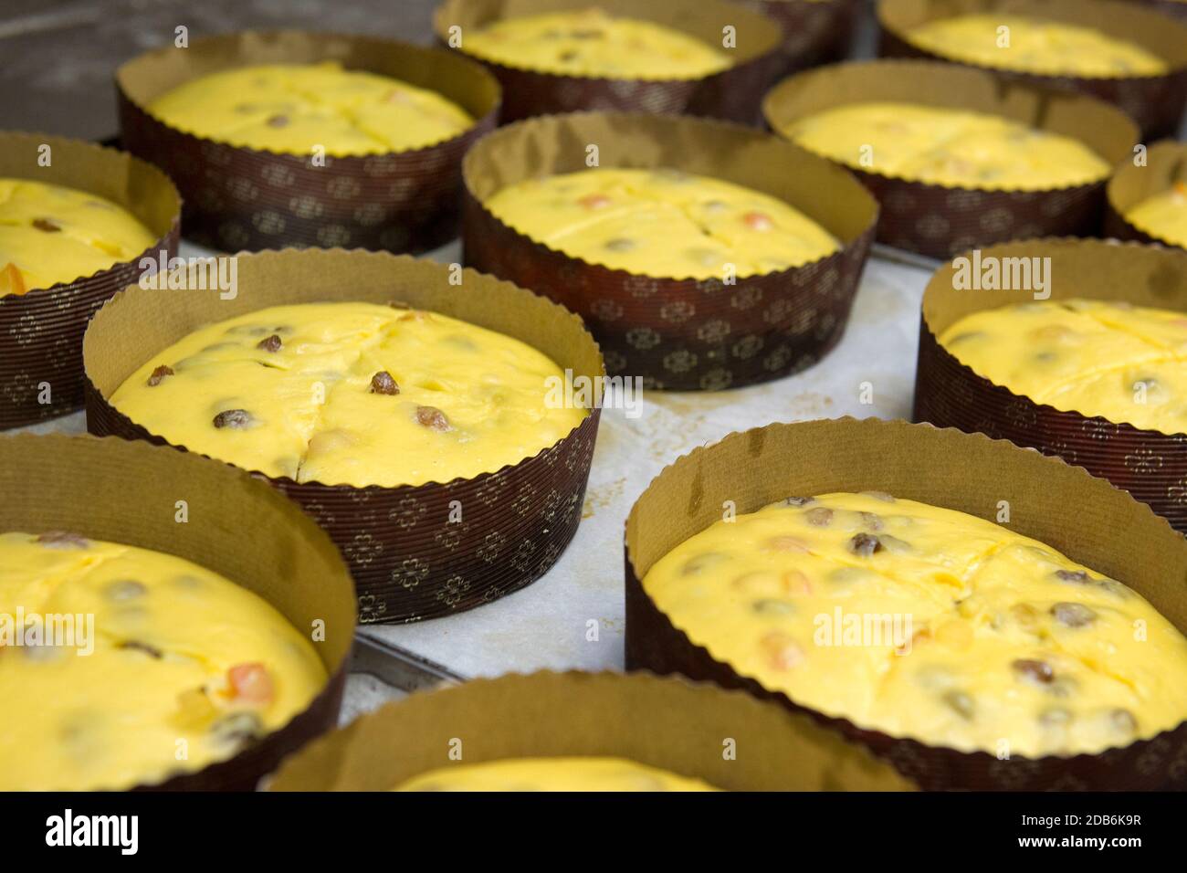 l'impasto del panettone prima di essere messo in forno Foto Stock