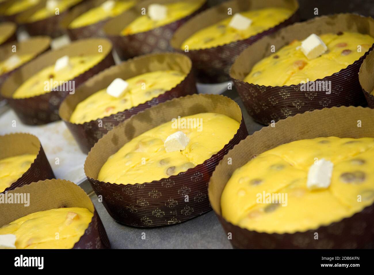 l'impasto del panettone prima di essere messo in forno Foto Stock