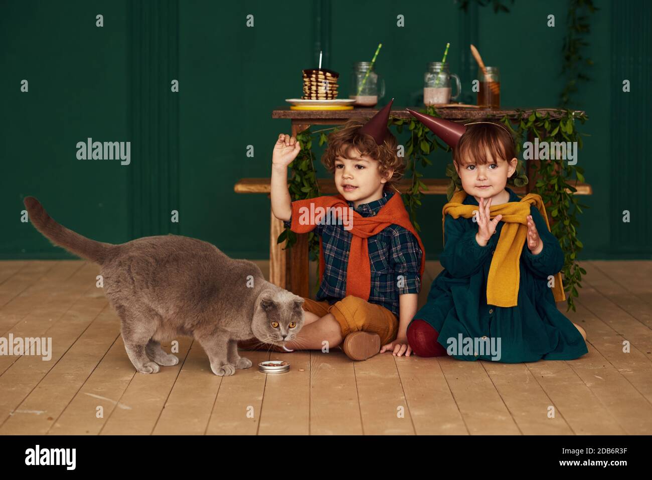 I gemelli di bambina e ragazzo in cappelli conici si siedono sul pavimento e alimentano un gatto britannico. I bambini carini celebrano il loro piccolo anniversario ad una festa di compleanno dentro Foto Stock