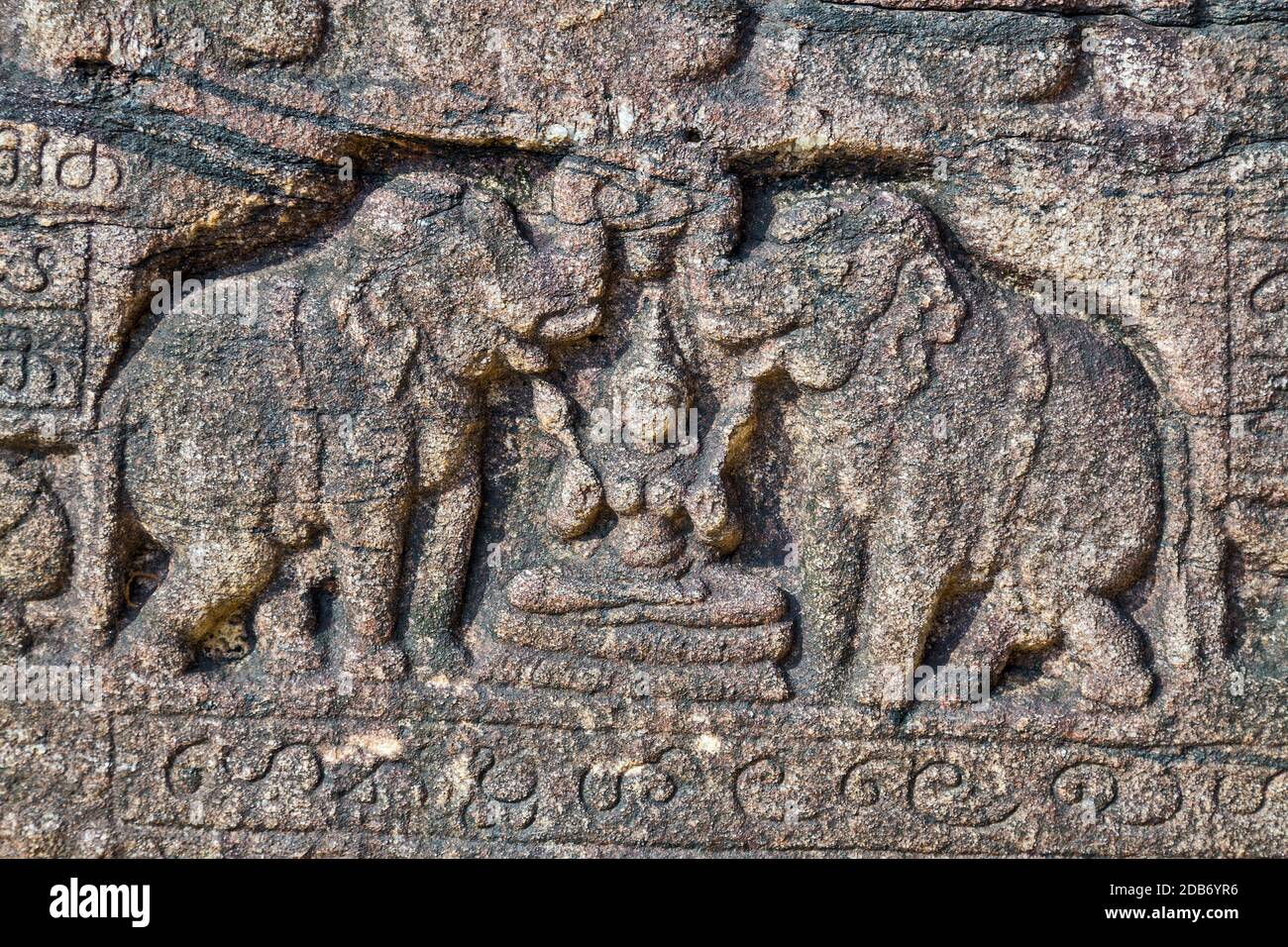 Elefanti di pietra Polonnaruwa rovine archeologiche tempio della città - capitale medievale di Ceylon, UNESCO, Sri Lanka Foto Stock