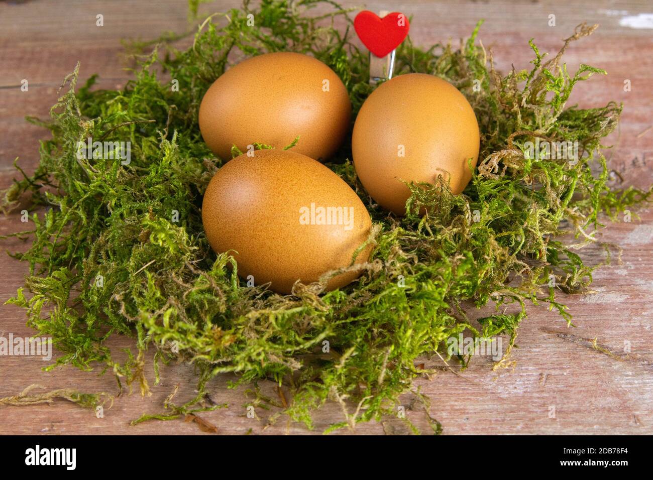 Concetto di Pasqua. Le uova si trovano in un nido di muschio verde e un perno rosso a forma di cuore. Viste dall'alto Foto Stock