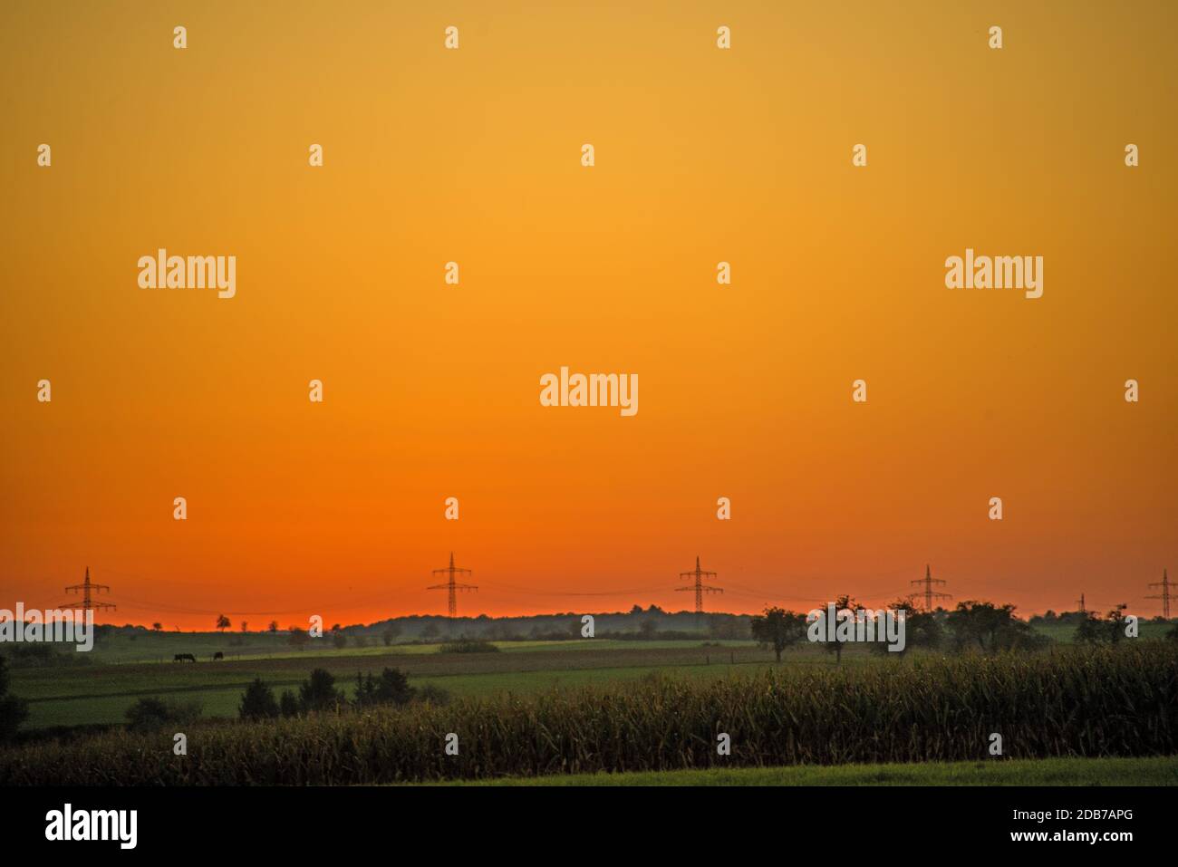 Tramonto in autunno con montanti di alimentazione Foto Stock