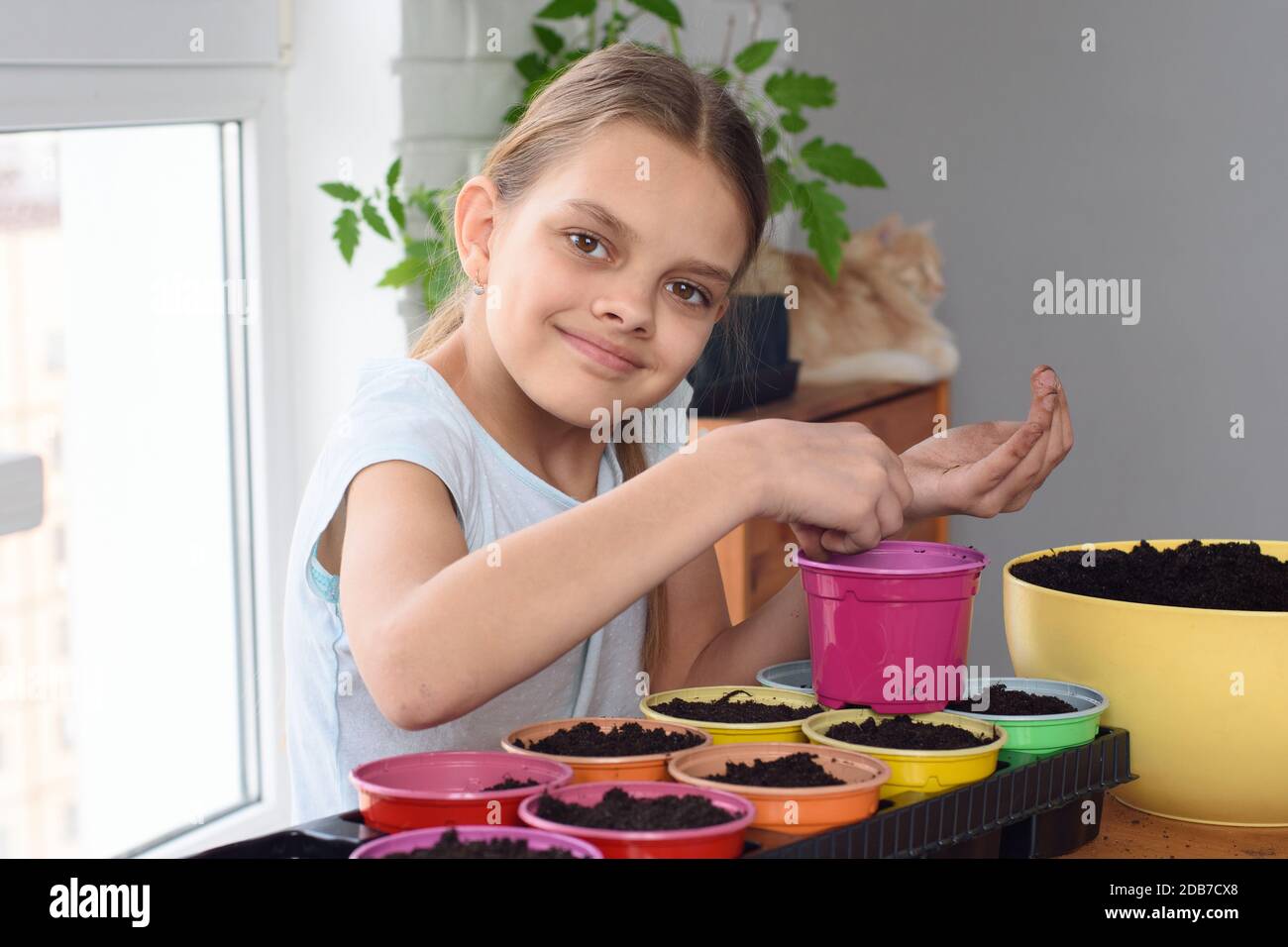 La ragazza pianta semi in pentole a casa Foto Stock