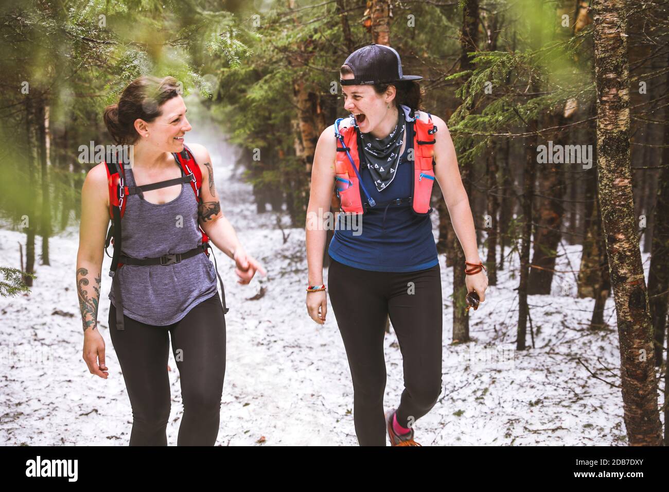 Due donne che camminano nella foresta innevata, New Hampshire, USA Foto Stock