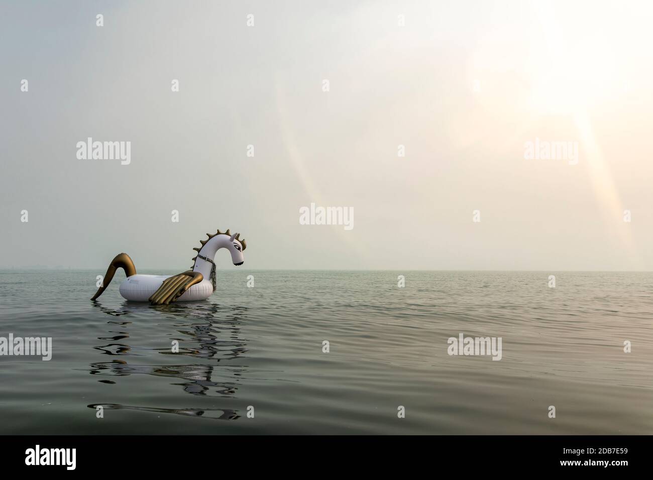 pegasus gonfiabile galleggiante sull'acqua nel lago Foto Stock