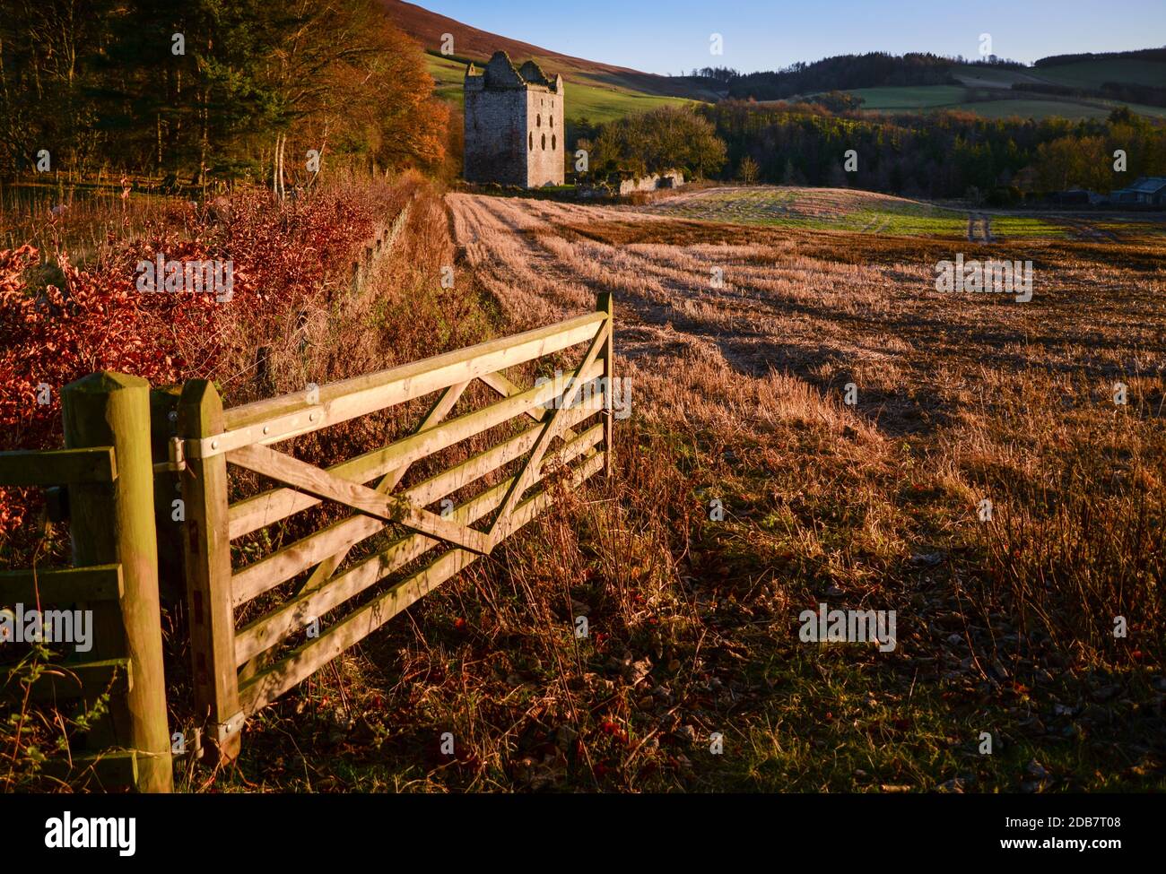 Il Castello di Newark si trova sopra Yarrow Water sulla Bowhill Estate vicino a Selkirk, ai confini scozzesi, in Scozia, Regno Unito Foto Stock