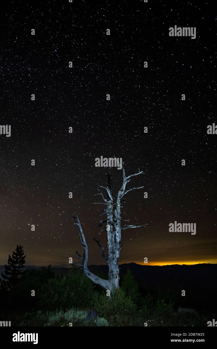 WA18131-00...WASHINGTON - il cielo notturno sul Lago Chelan e sul Città di Chelan dalla cima della montagna Cooper in L'Okanogan Wenatchee National Foto Stock