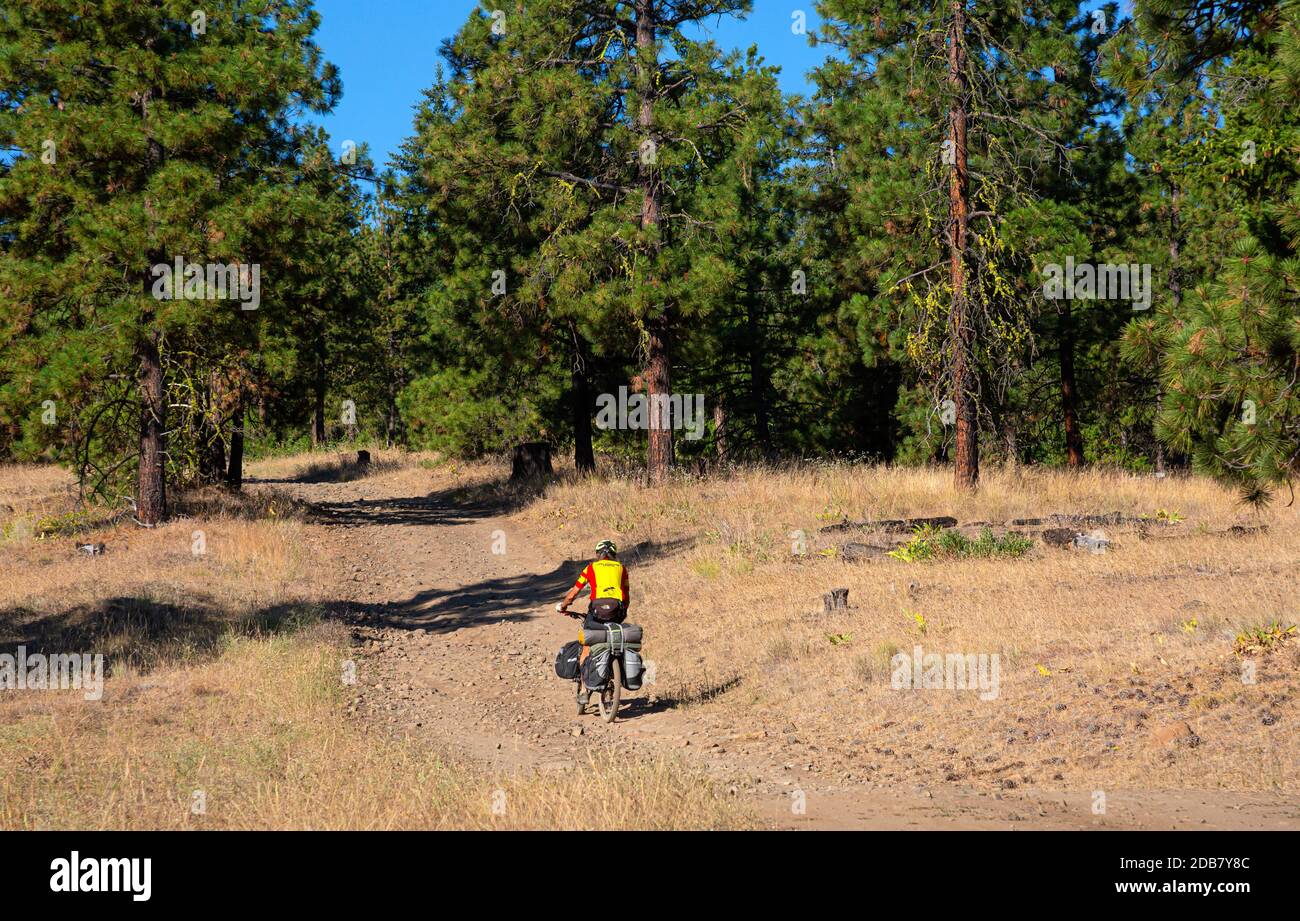 WA18146-00...WASHINGTON - dirigersi verso una delle molte sezioni di strada sterrata di massi nell'Area Naturale di Oak Creek, dirigendosi su Cleman Mtn. Foto Stock