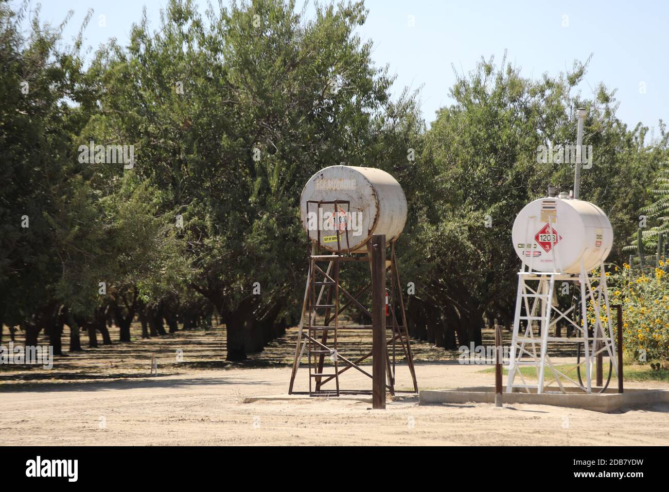 Alberi di noce commerciali in frutteto con serbatoi di carburante diesel per macchine agricole e camion per l'azienda Foto Stock