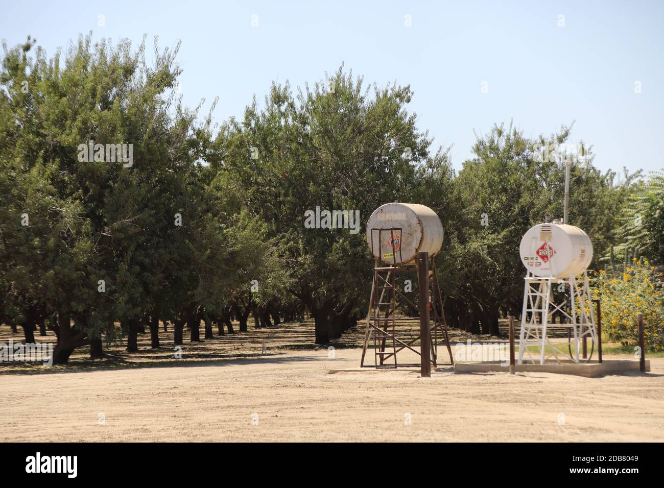 Alberi di noce commerciali in frutteto con serbatoi di carburante diesel per macchine agricole e camion per l'azienda Foto Stock