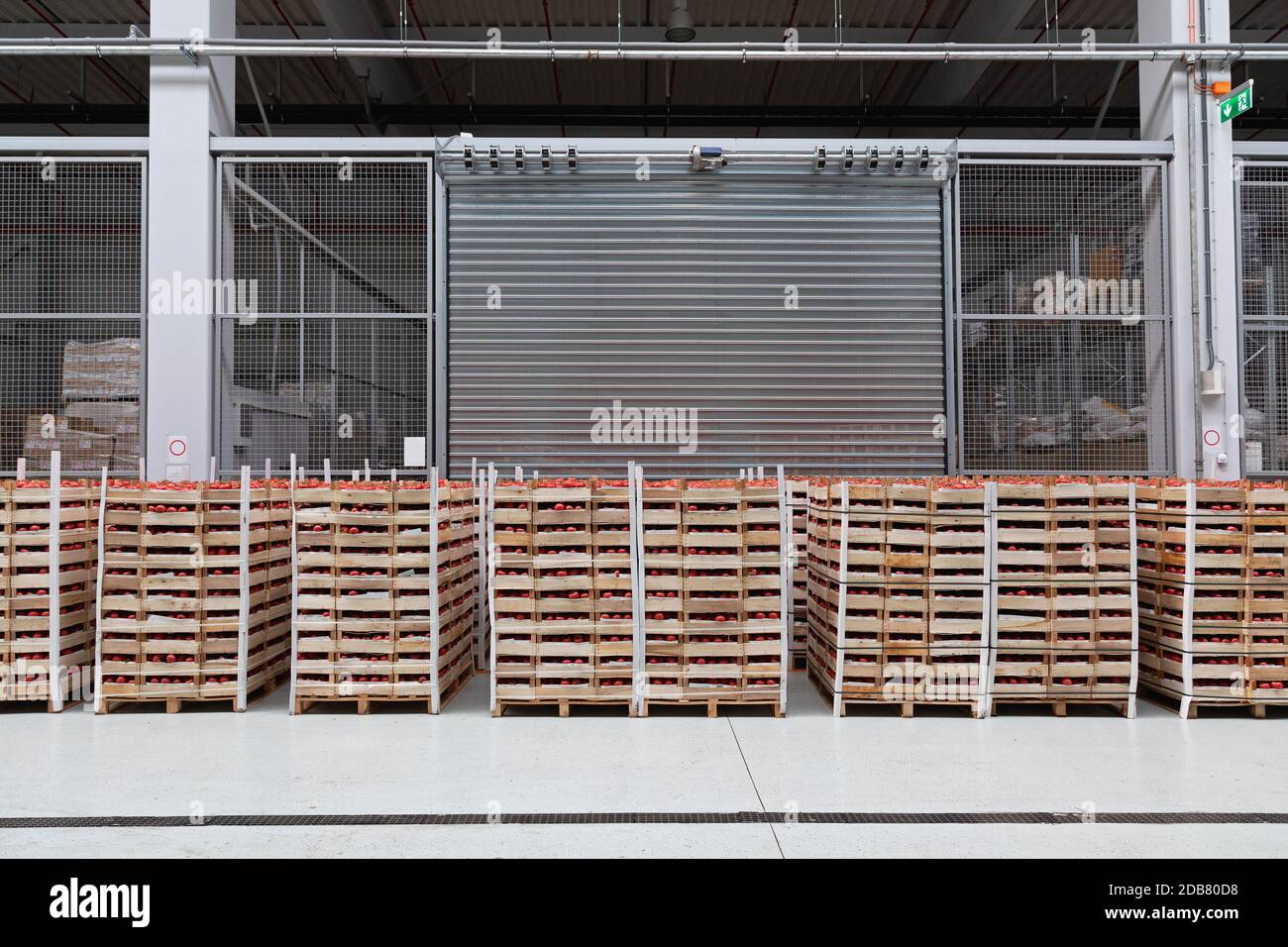 Casse di Pomodoro al pallet in magazzino Foto Stock