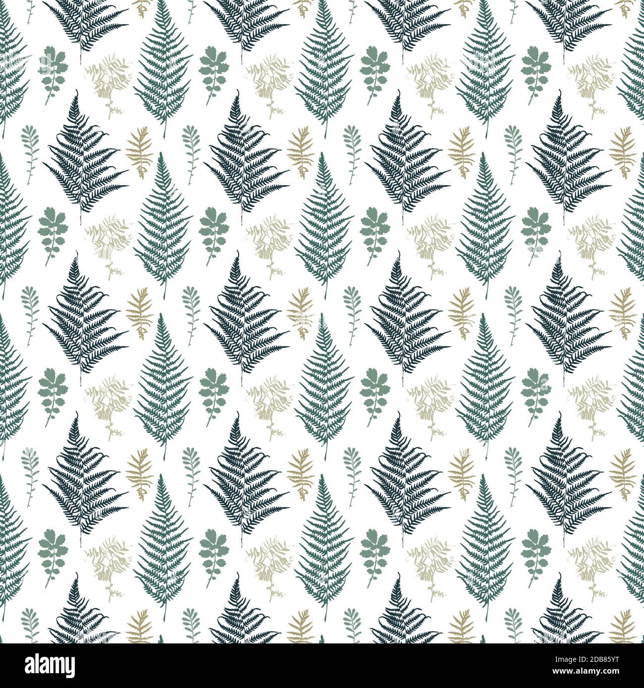 La felce seamless pattern. Illustrazione Vettoriale Foto Stock
