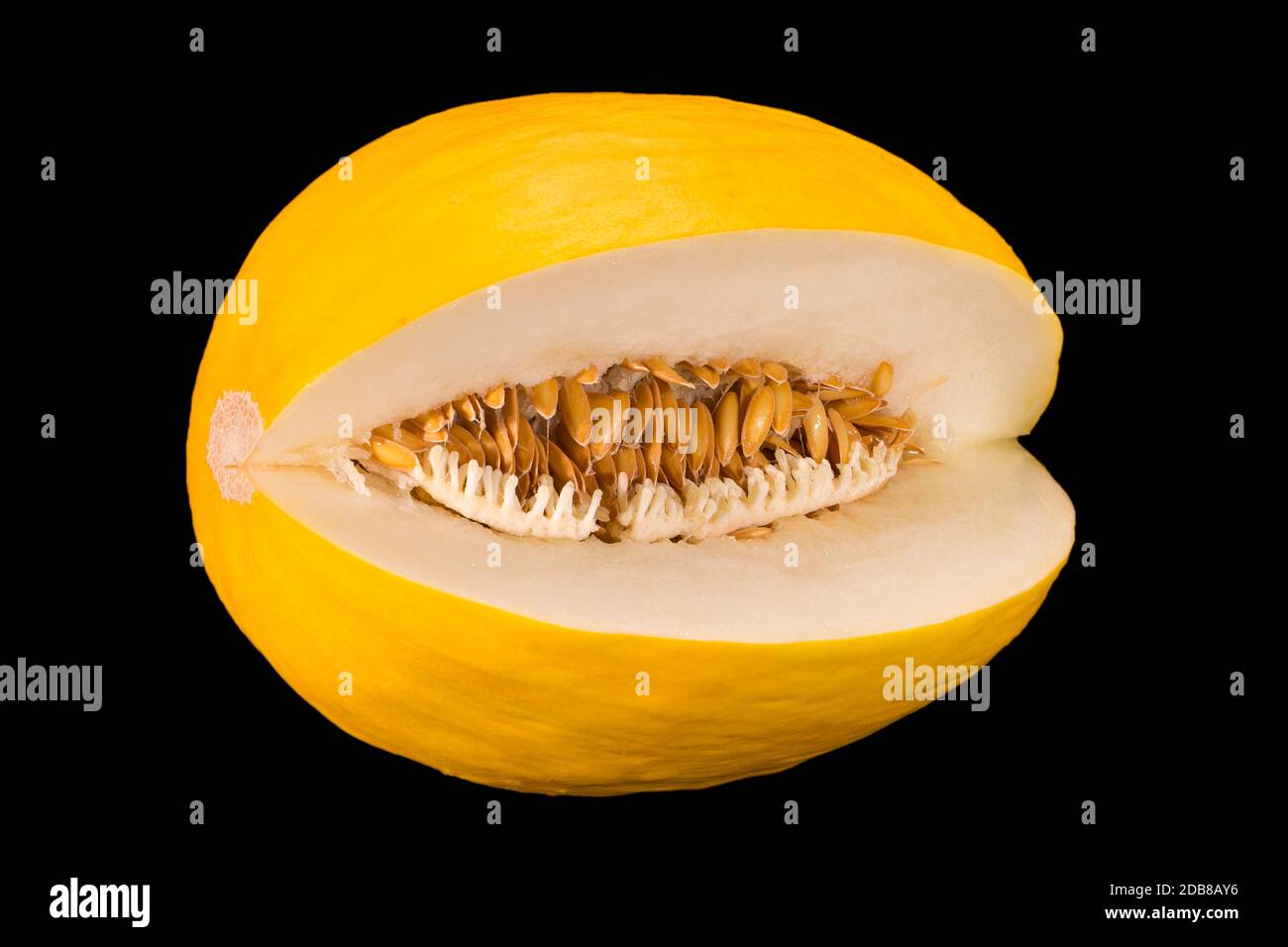 Grande singolo frutto di melone giallo miele isolato su sfondo nero, primo piano Foto Stock