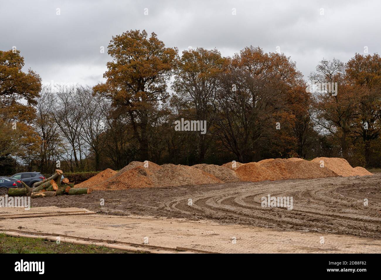 Aylesbury vale, Buckinghamshire, Regno Unito. 16 novembre 2020. Questo è tutto ciò che rimane di parte del bosco antico di Grim's Ditch. HS2 ha distrutto il legno e lo ha trasformato in trucioli di legno. I locali che hanno camminato attraverso il bosco per molti anni sono assolutamente devasted a questa perdita di habitat naturale per il collegamento HS2 High Speed Rail da Londra a Birmingham. Credit: Maureen McLean/Alamy Live News Foto Stock