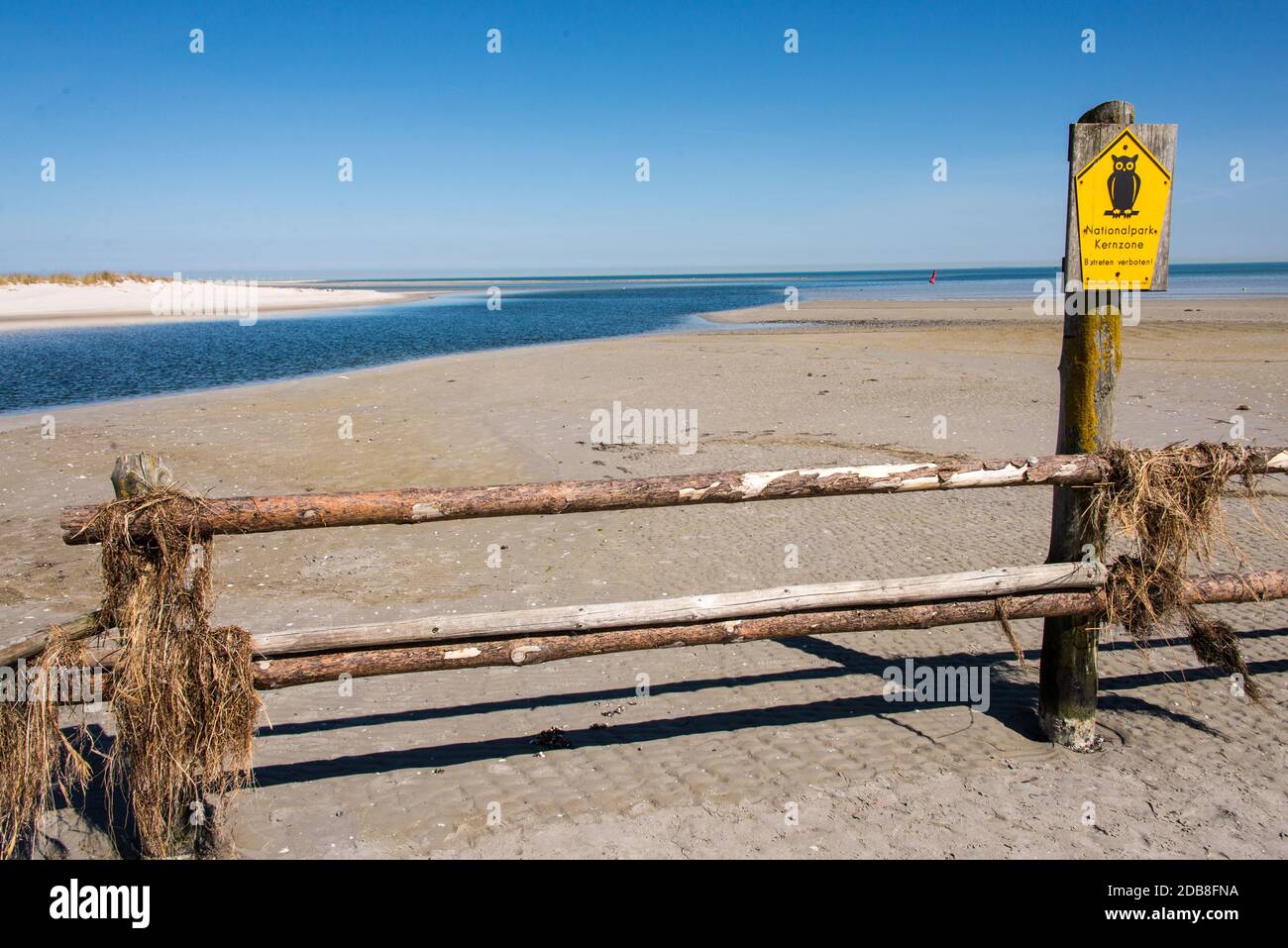 Parti della penisola di Darß sulla costa del Meclemburgo del Mar Baltico sono chiuse come riserva naturale. Foto Stock