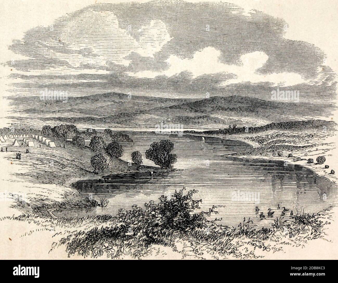 Lago Nest dell'Oca selvaggia Foto Stock