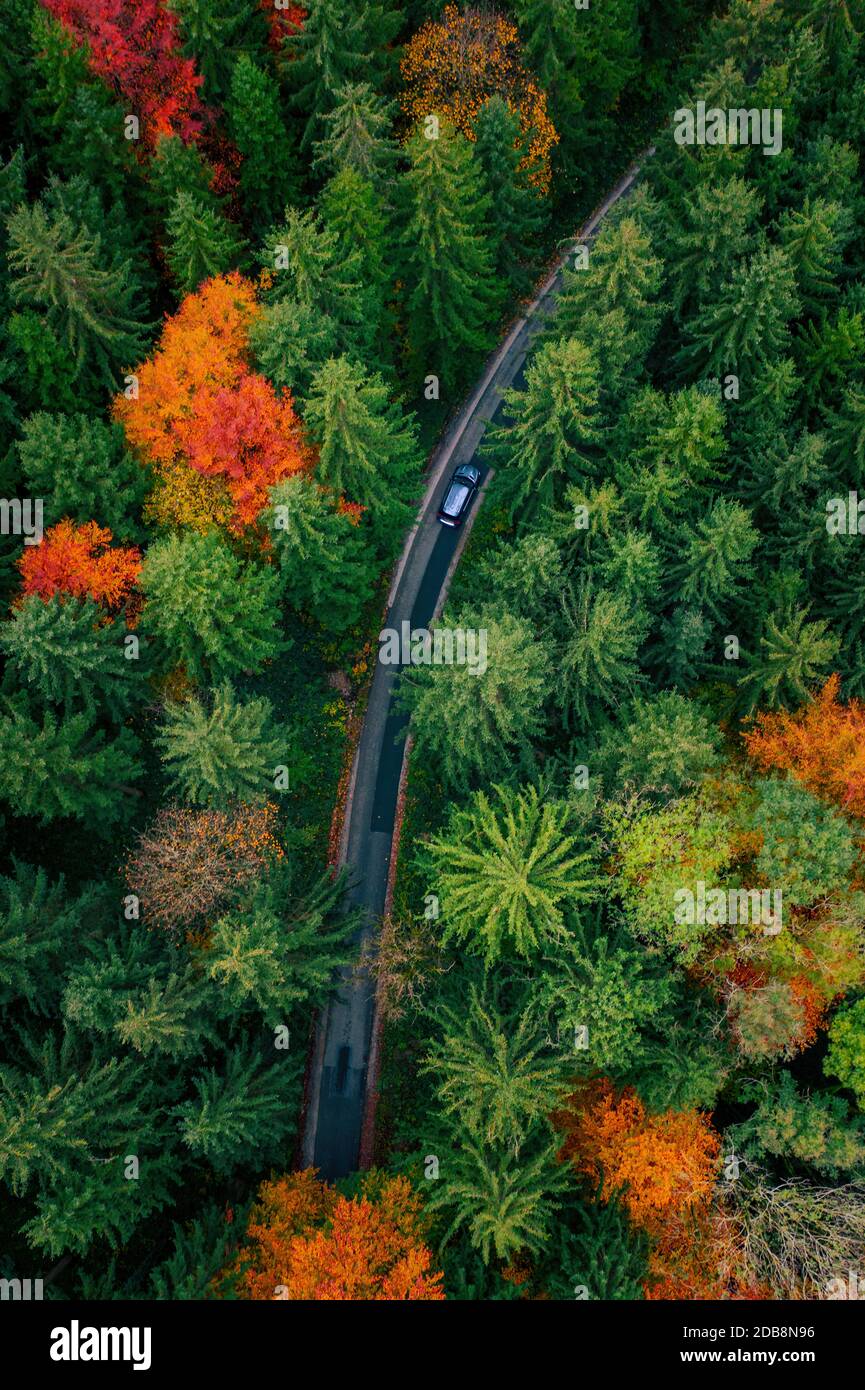 Vista aerea di un'auto che attraversa una foresta autunnale, l'Austria Foto Stock