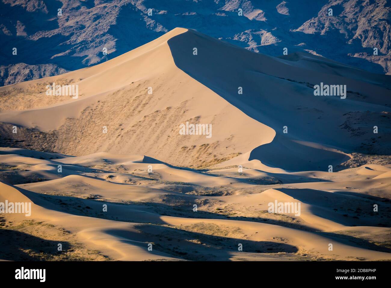 Khongoryn Els è conosciuta come 'Singing Sands'. Queste dune di sabbia si trovano all'interno del Parco Nazionale Gobi Gurvansaikhan nel deserto di Gobi a Mongol Foto Stock