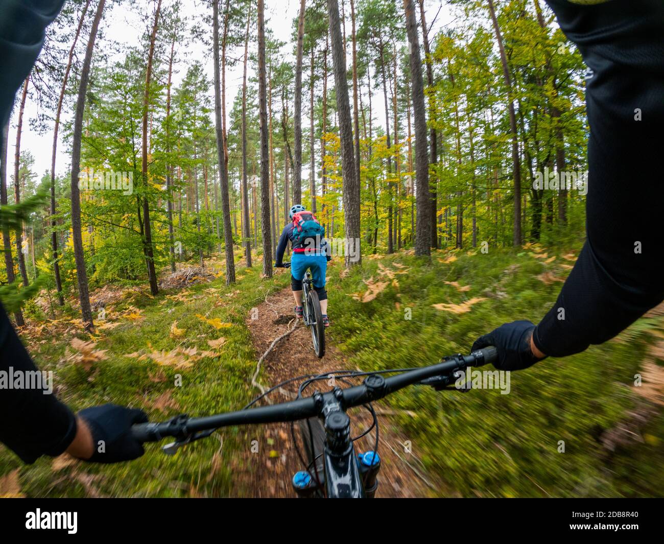 Vista prospettica personale di una donna in mountain bike nella foresta d'autunno, Klagenfurt, Carinzia, Austria Foto Stock