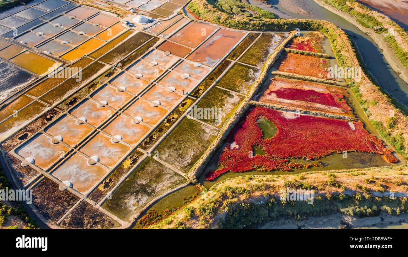 Veduta aerea delle saline di Guerande, Loira Atlantica, Francia Foto Stock