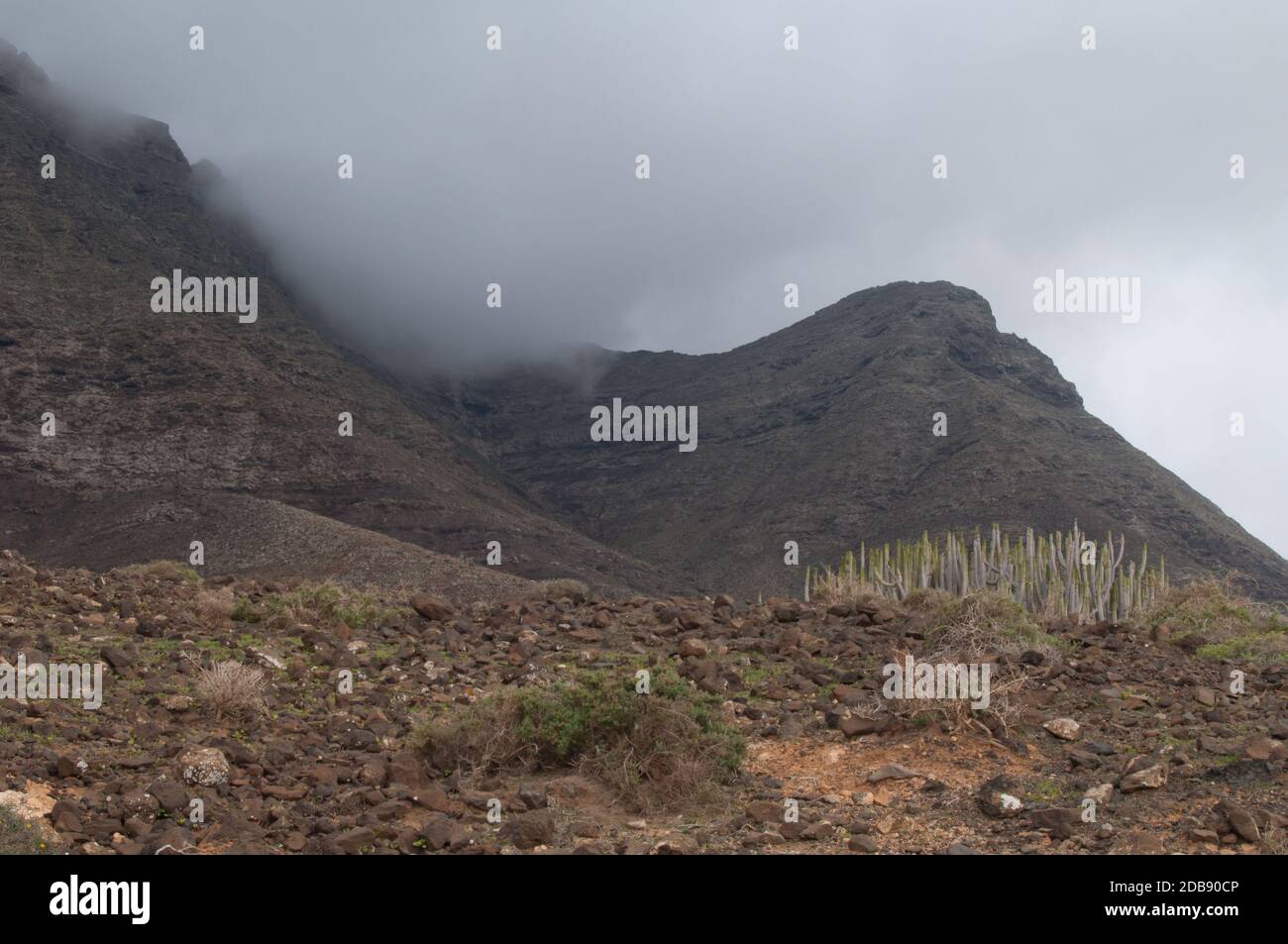 Paesaggio nel Parco Naturale Jandia. Pajara. Fuerteventura. Isole Canarie. Spagna. Foto Stock