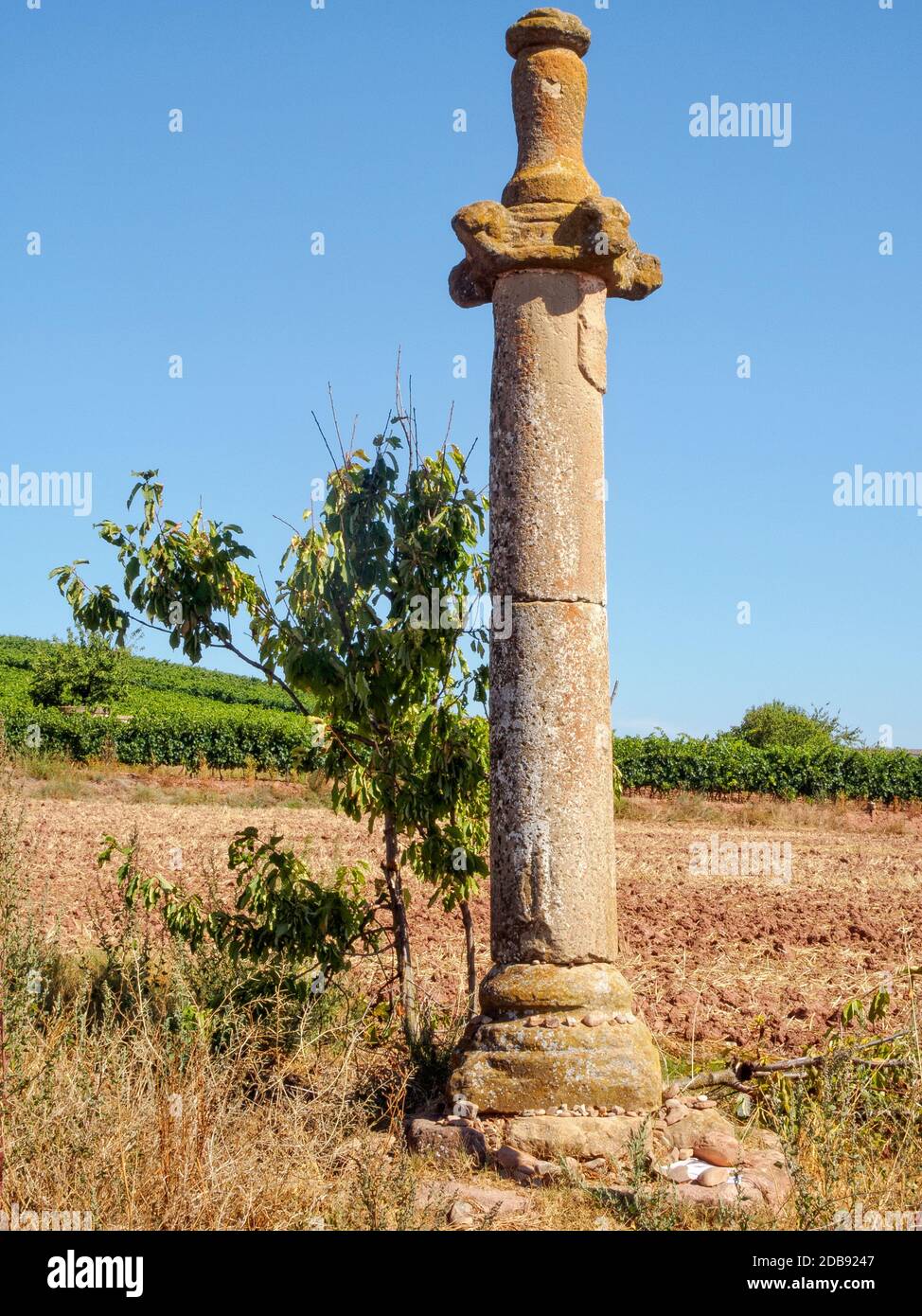 XVI secolo la picota (colonna justicia) sul Camino - Azofra, la Rioja, Spagna Foto Stock