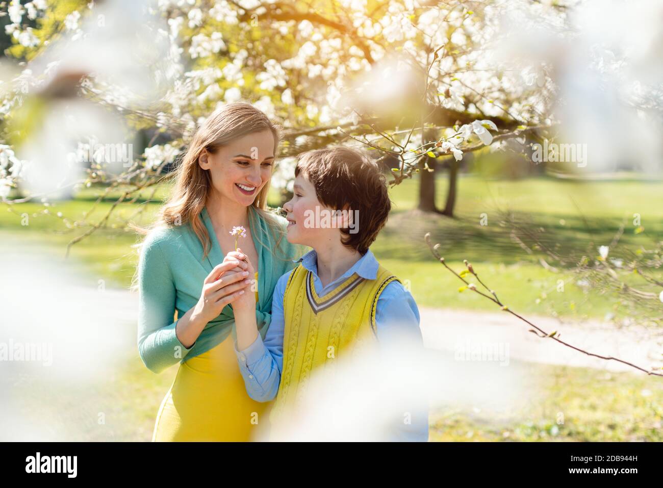 Figlio che dà la sua mamma fiori per le madri giorno sotto un albero in fiore in primavera Foto Stock