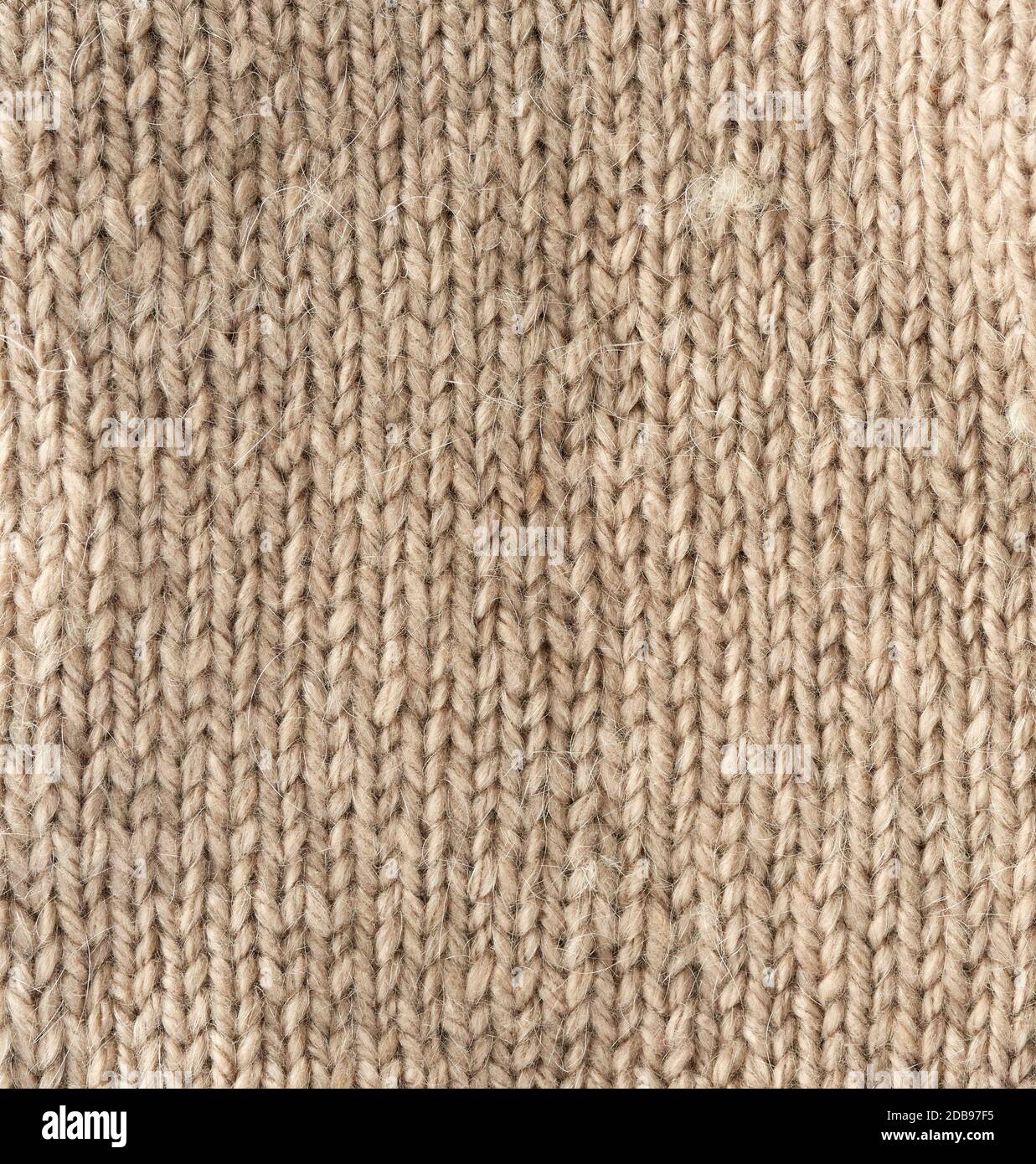 frammento di tessuto a maglia di lana marrone chiaro di pecora, pigtail pattern Foto Stock
