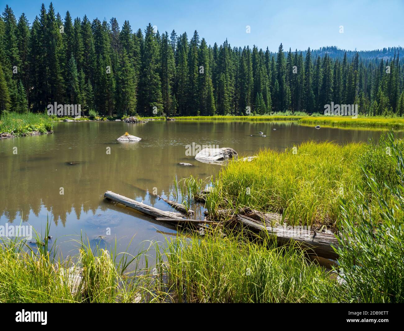 Lake of the Woods, Lake of the Woods Trail, Grand Mesa, Colorado. Foto Stock
