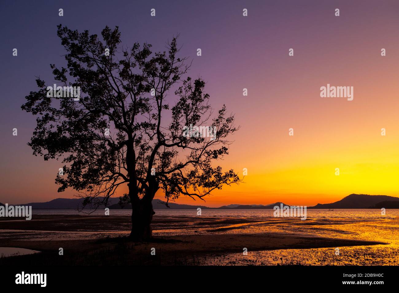 Crepuscolo sulla spiaggia e cielo colorato con l'albero a Takua Thung, Phangnga, nel sud della Thailandia Foto Stock