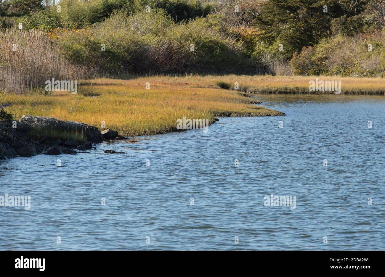 Parte della regione di Benton Point, è un grazioso rifugio per le acque e le paludi per anatre, uccelli, ecc. lungo Ocean Avenue. In fondo alla strada dalla Newport's Mansion Foto Stock