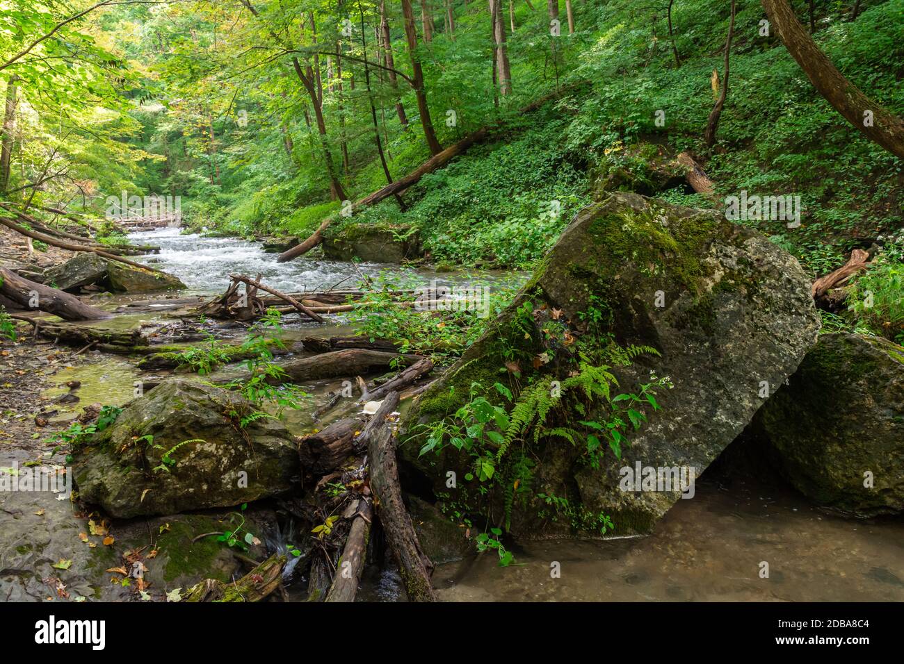 Lower Decew Conservation Area Ontario Canada Foto Stock