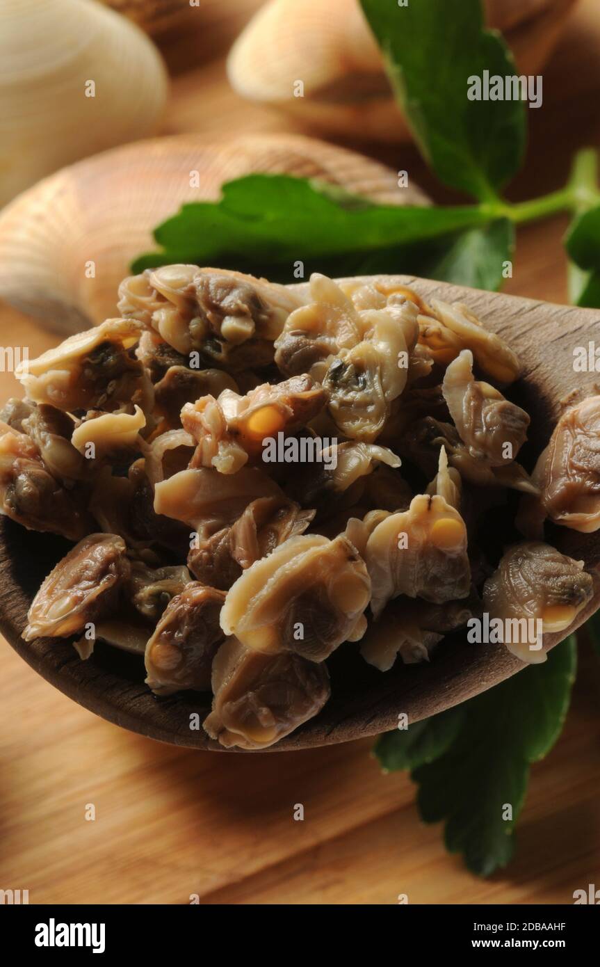 Primo piano di vongole sgusciate nel cucchiaio Foto Stock