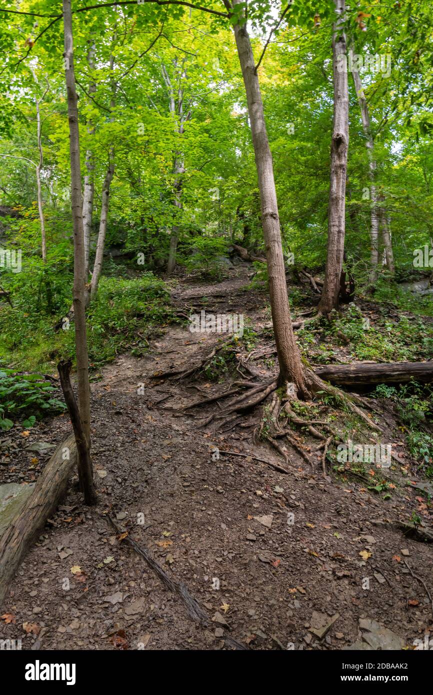 Lower Decew Conservation Area Ontario Canada Foto Stock