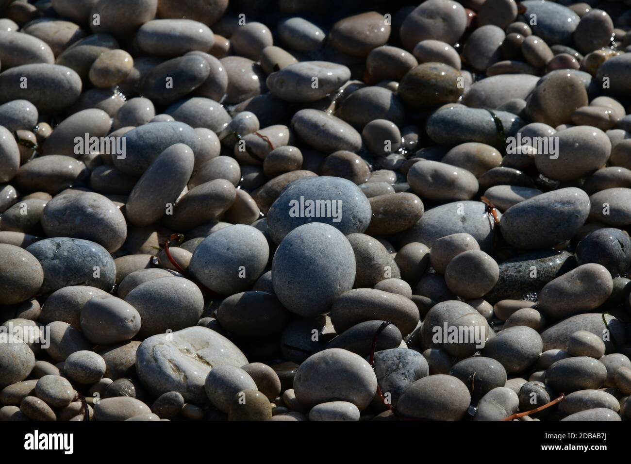 Pietre grandi, piccole, rotonde sulla spiaggia mediterranea in provincia di Alicante, Spagna Foto Stock