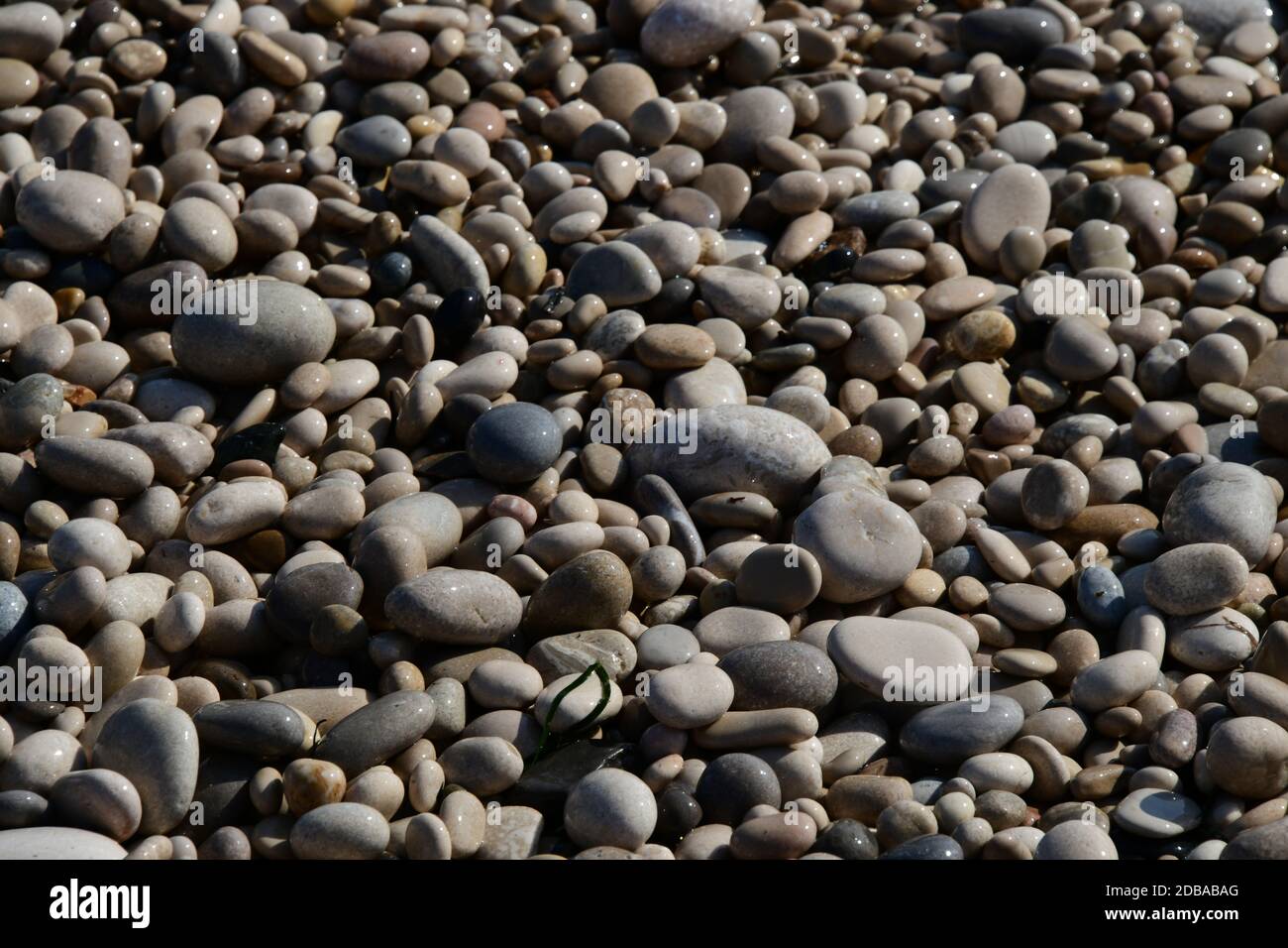 Pietre grandi, piccole, rotonde sulla spiaggia mediterranea in provincia di Alicante, Spagna Foto Stock