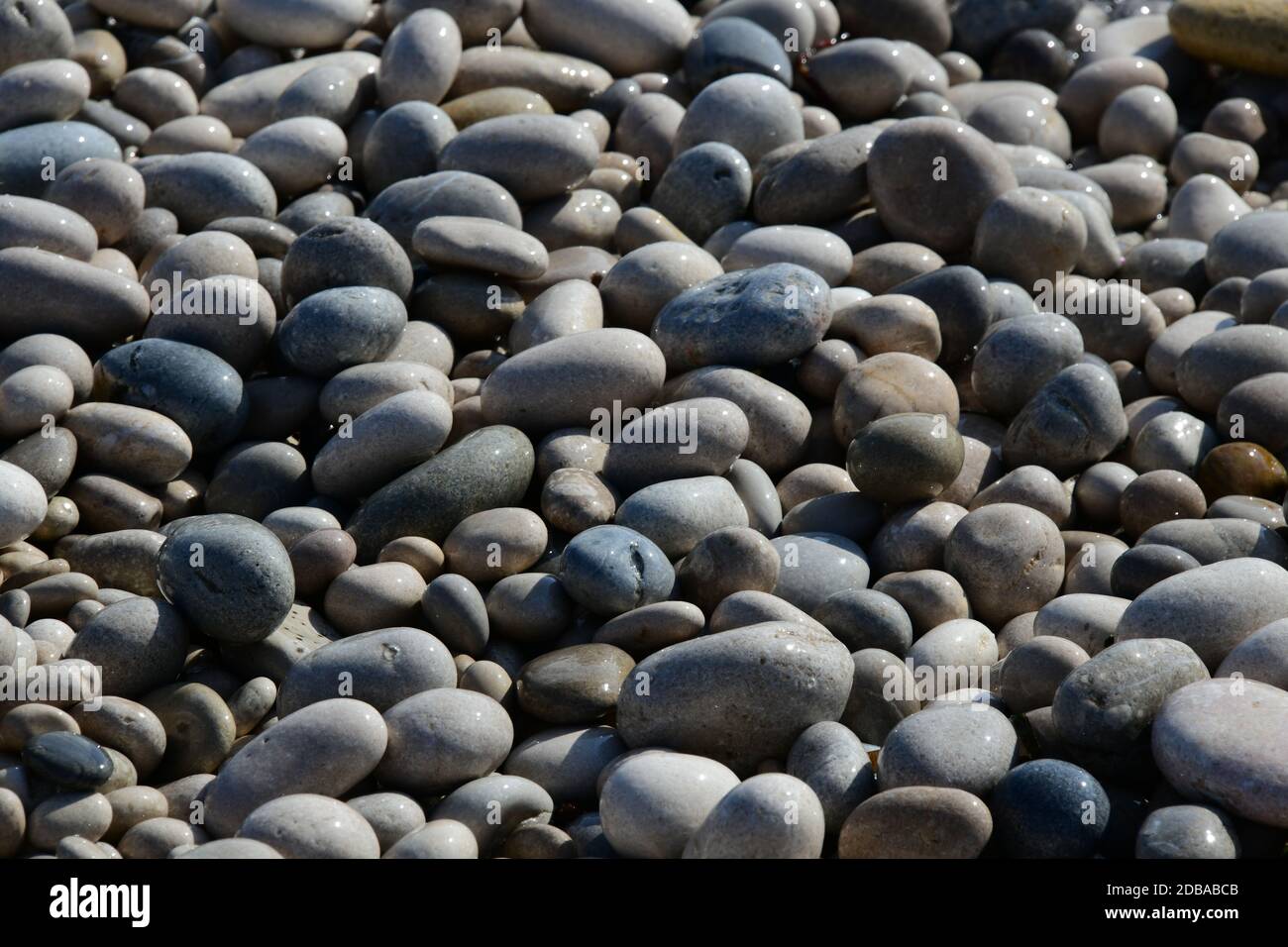 Pietre grandi, piccole, rotonde sulla spiaggia mediterranea in provincia di Alicante, Spagna Foto Stock