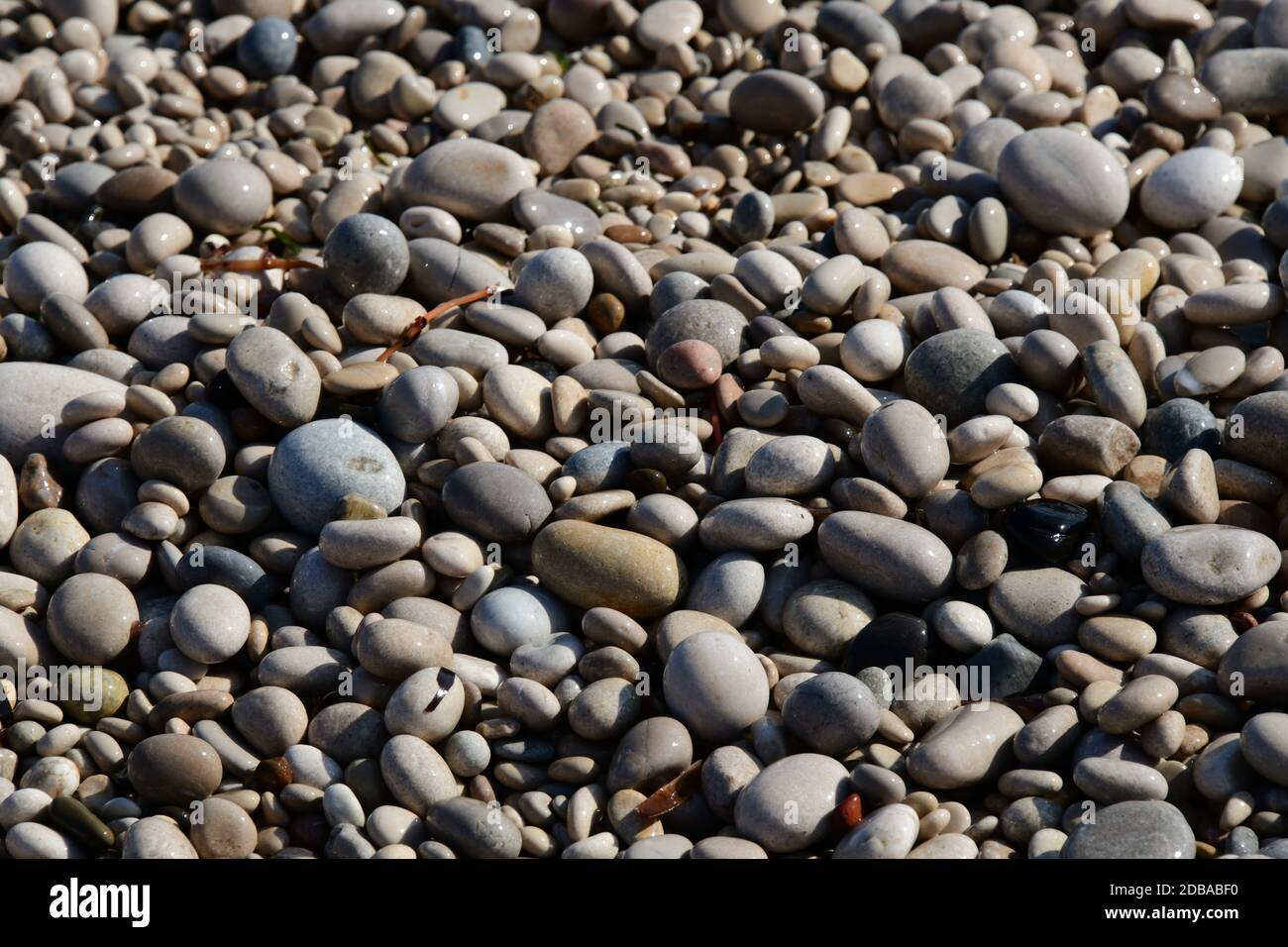Pietre grandi, piccole, rotonde sulla spiaggia mediterranea in provincia di Alicante, Spagna Foto Stock