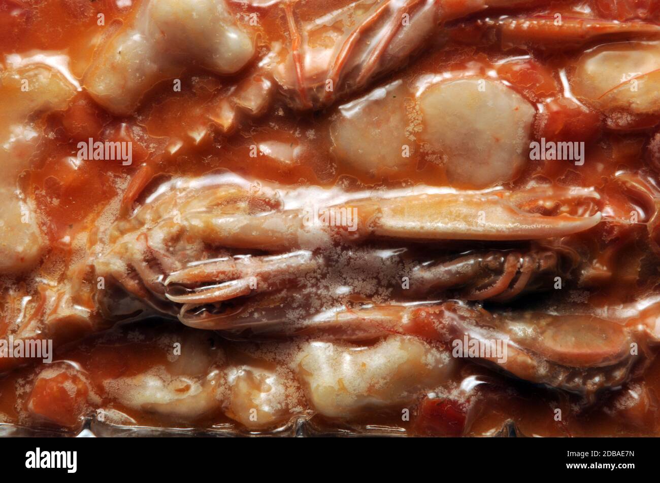 Crostacei e molluschi congelati nella confezione. Foto Stock
