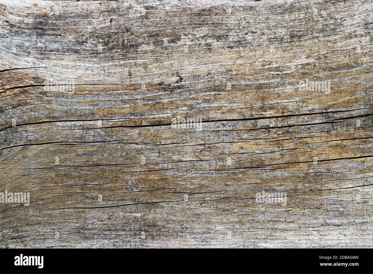 Sfondo di legno - una vecchia tavola di legno giallo-grigio con grano Foto Stock