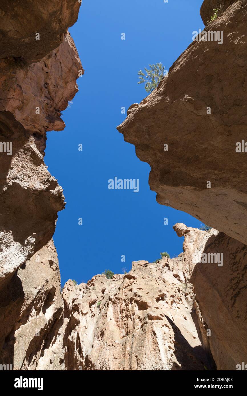Un cielo blu vibrante sopra le alte scogliere di arenaria del Frijoles Canyon al Bandelier National Monument, New Mexico. Foto Stock