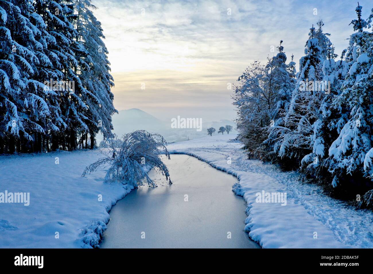 Zugefrorener Teich im Winter mit verschneiten BÃ¤umen Foto Stock