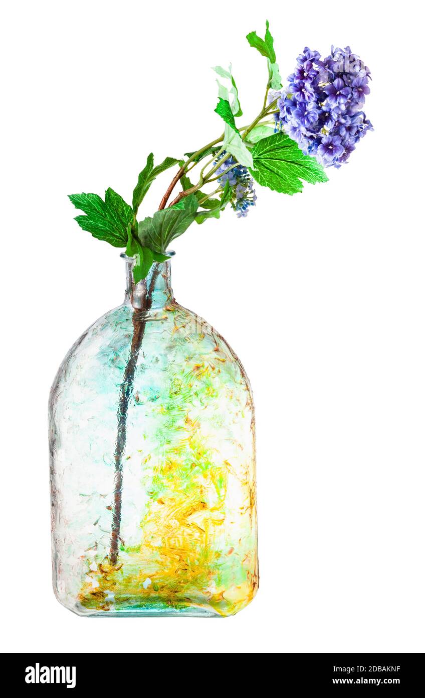 fiori artificiali di hydrangea in bottiglia di vetro dipinta a mano isolato su sfondo bianco Foto Stock