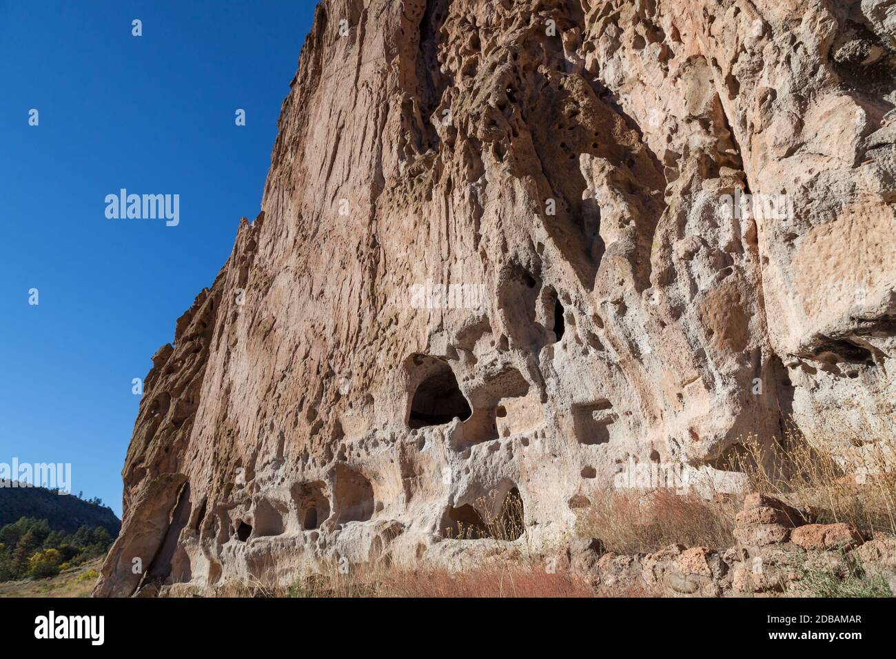 Pareti di arenaria nel Canyon di Frijoles che sono state scolpite dal popolo Pueblo per le abitazioni nel Monumento Nazionale di Bandelier, New Mexico. Foto Stock