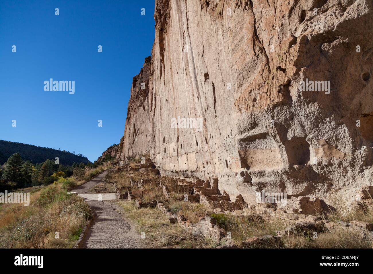 Pareti di arenaria nel Canyon di Frijoles che sono state scolpite dal popolo Pueblo per le abitazioni nel Monumento Nazionale di Bandelier, New Mexico. Foto Stock
