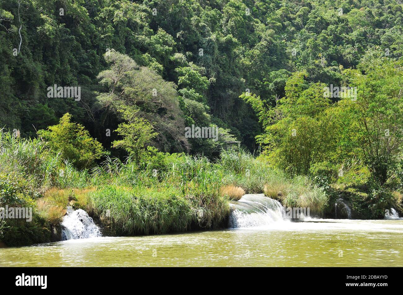 Piccola cascata sul fiume Loboc a Bohol nelle Filippine Foto Stock