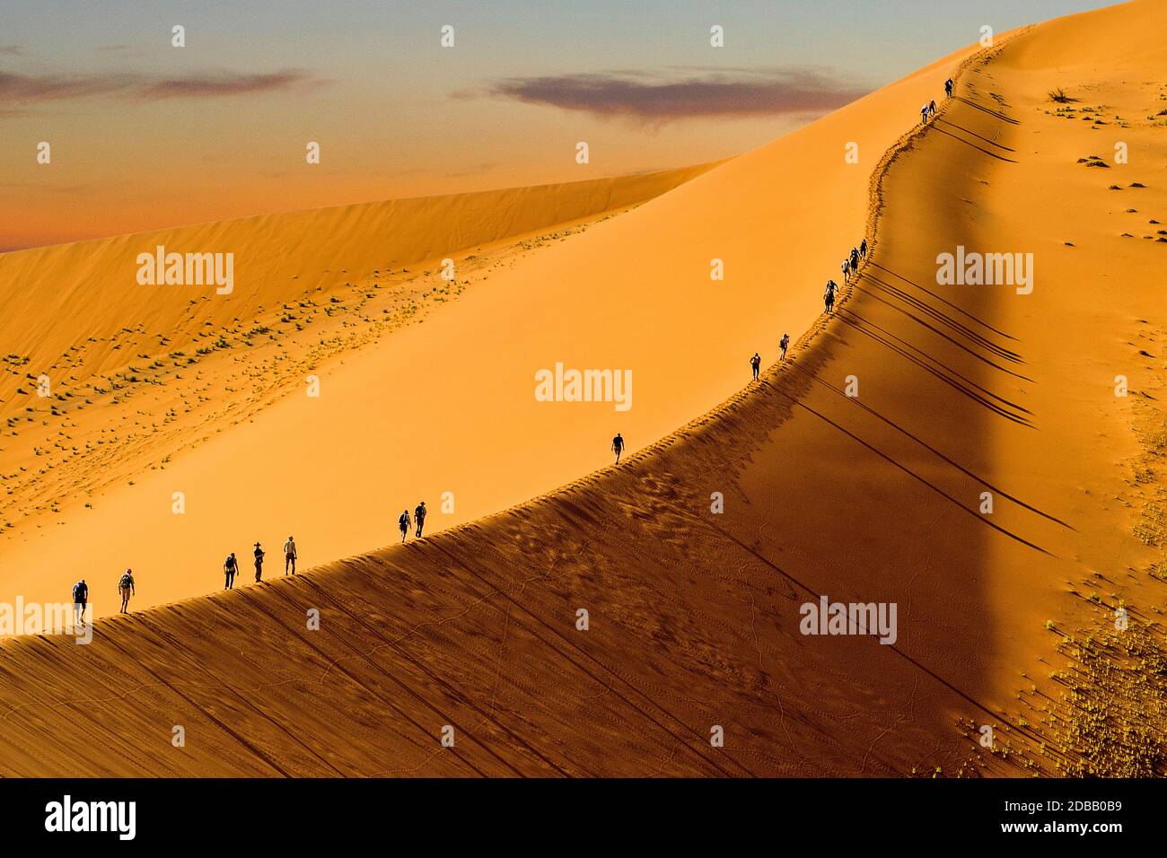 Namibia, Namib Naukluft Park - Big Daddy Foto Stock