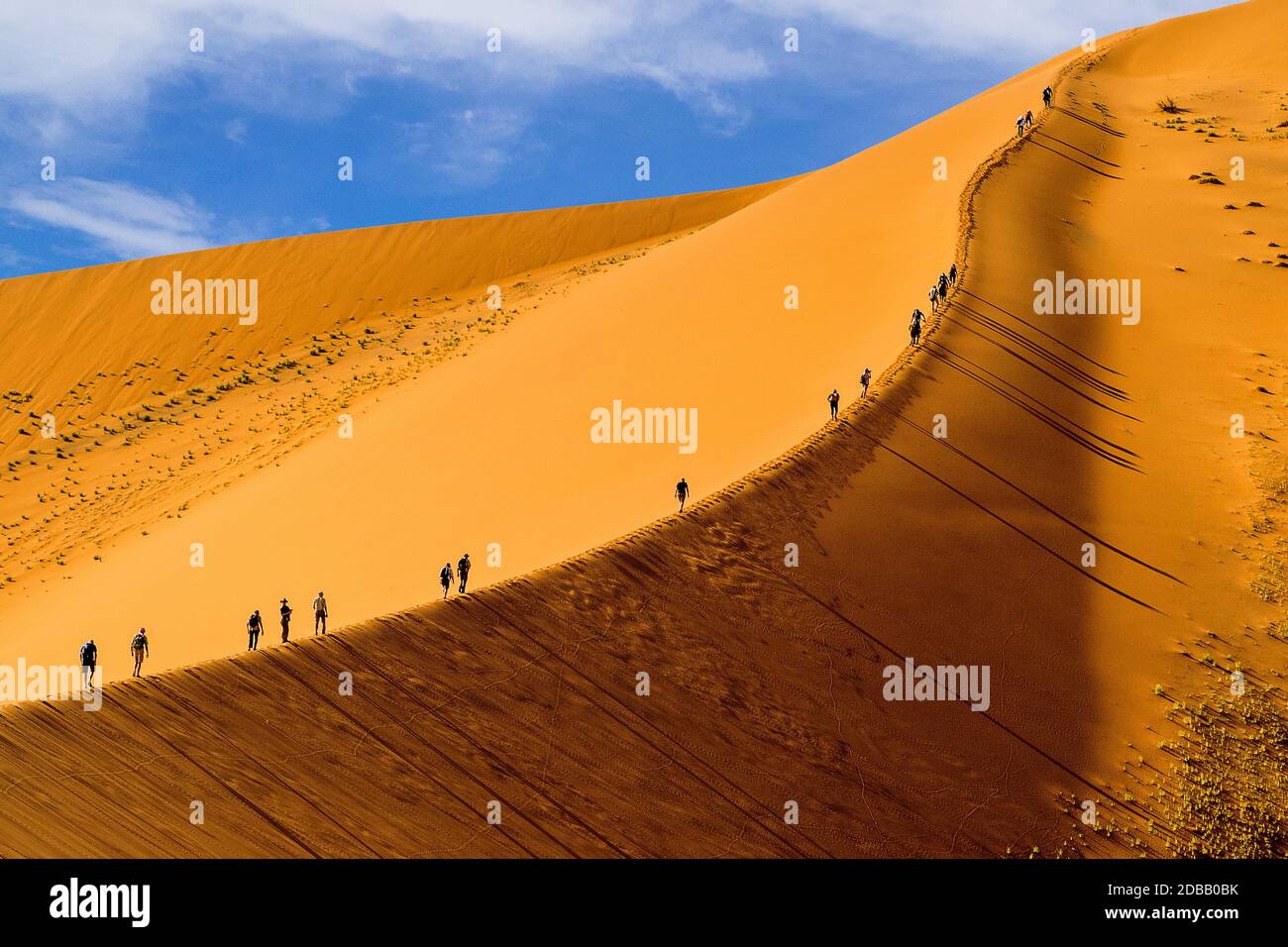 Namibia, Namib Naukluft Park - Big Daddy Foto Stock