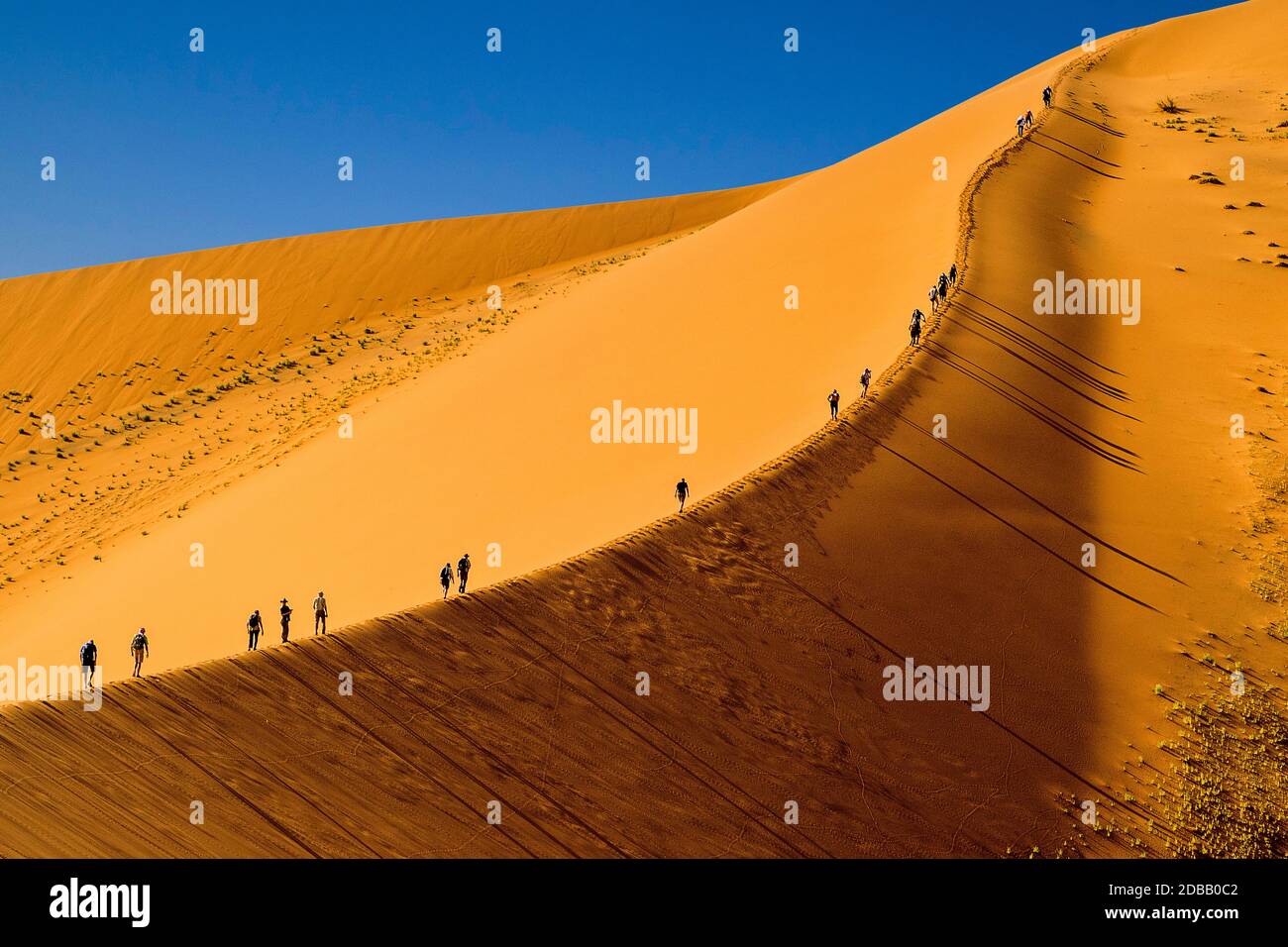 Namibia, Namib Naukluft Park - Big Daddy Foto Stock